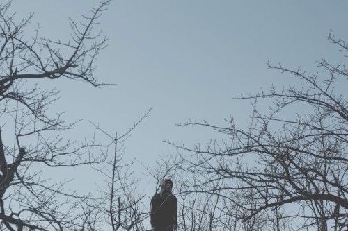 ColdWorld - Wolves and Sheep