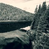 Negura Bunget  - Tau