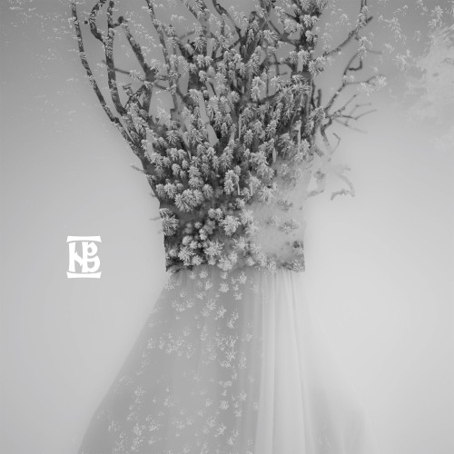 Negura Bunget  - Zău