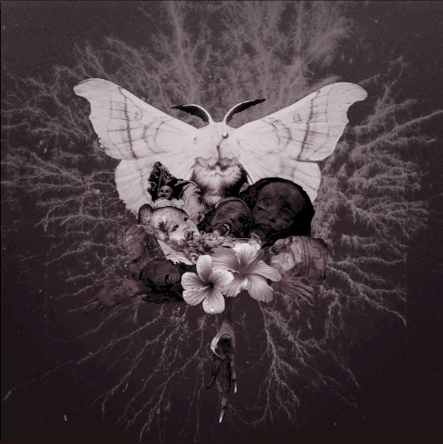 Celestial Grave - Pvtrefactio