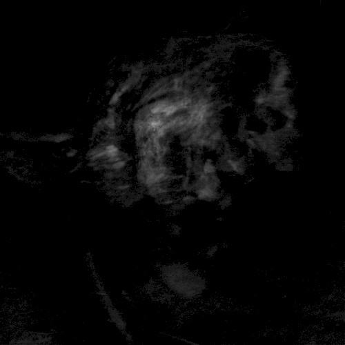 Adaestuo - Tacent Semitae