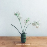 Blurr Thrower - Les Voutes