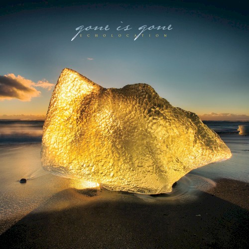Gone Is Gone - Echolocation