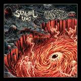 Inisans / Sepulchral Frost - Death Fire Darkness