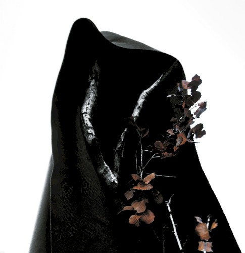 Process of Guilt - Black Earth