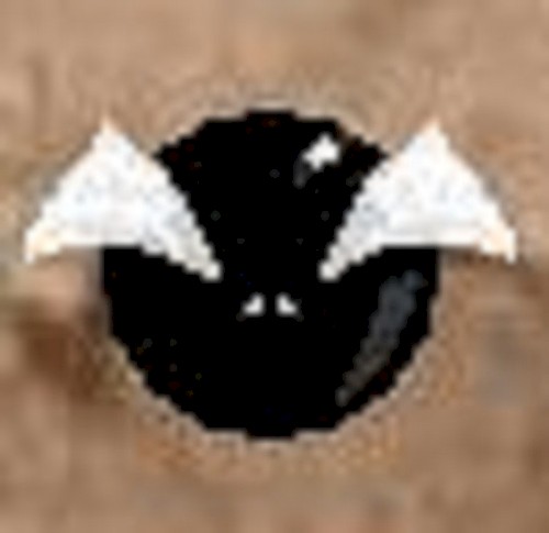 Falling Silence - Shadows